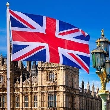 Michal_david_6's profile picture. #1 You will get Profitable Scalping trad singles%folwo you singles daily we are give you 3.5 singles only t telegram