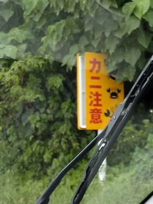 terasansansan's profile picture. 