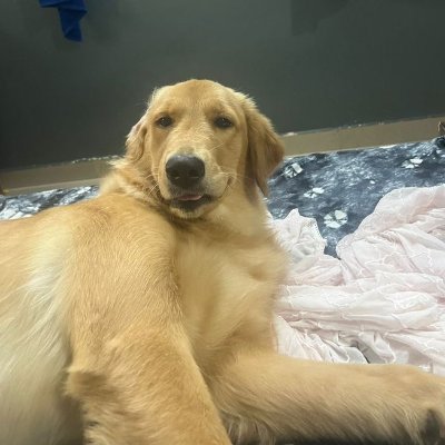 news_runov's profile picture. i am hunter crypto USDT BNB | Marketing Promotion DM Me  📩 For your project to attract lots of visitors 💯