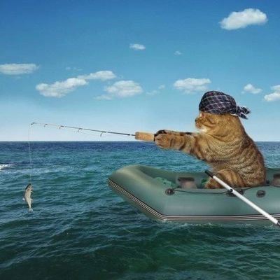 cuapanna's profile picture. 