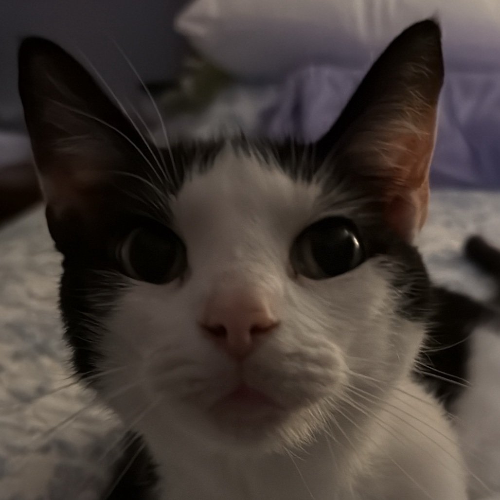 benz_mercedes04's profile picture. 