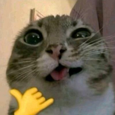 Liset16753's profile picture. 