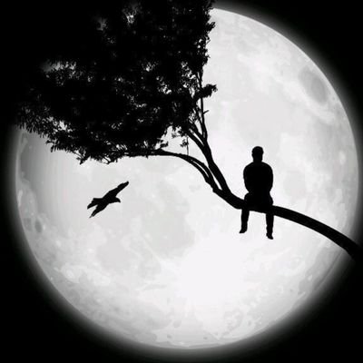 Edu1556530's profile picture. Simplemente existiendo