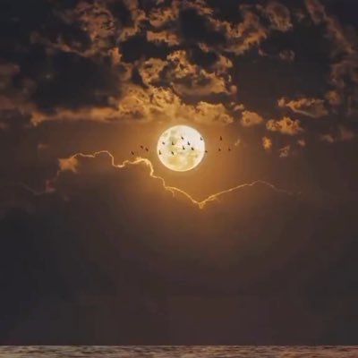 skwn249526's profile picture. في سكون الليل تهدأ الحياة من ضجيجها ،، وتبدأ الافكار بحضورها تتوهج بالحكمه والعطاء أو بالخبث والدهاء !!