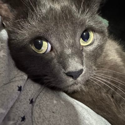 canbewhouneed's profile picture. photography, medical science, foody, a realist and retired in medical field. crypto& bots = block . ❤️my family and friends. life is short- smile!