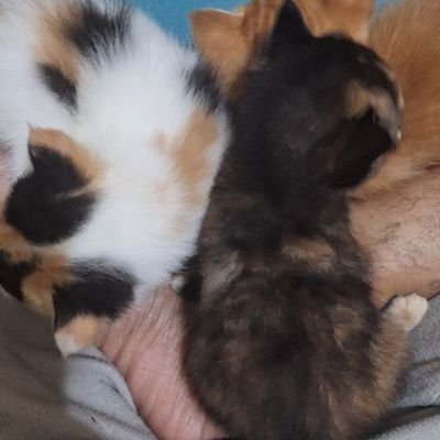 General_Meme77's profile picture. 