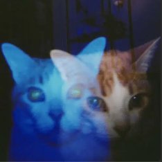 LawlightXBT's profile picture. 