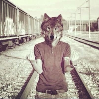 liquidmlm's profile picture. #jsieieieiidisusisiska
#nxnxnjzjzk
#chaseatlanticholic