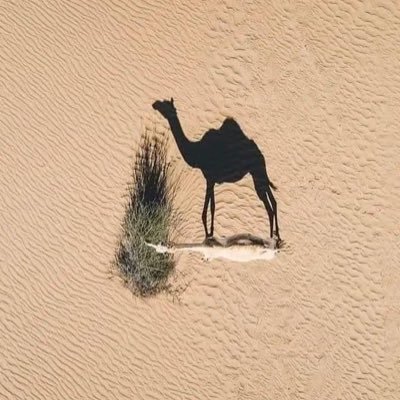 berry_jans20308's profile picture. 