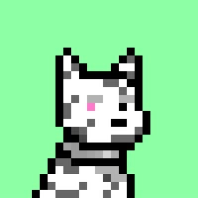 drewaura's profile picture. Software Engineer | @typemedia | @doginaldogs