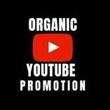YouTubeRises's profile picture. Professional YouTube marketing experts boost real views, subscribers, and watch time through safe, organic, and authentic promotion.