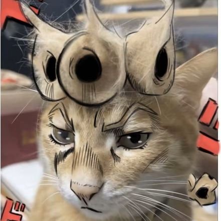 xing20626242267's profile picture. 