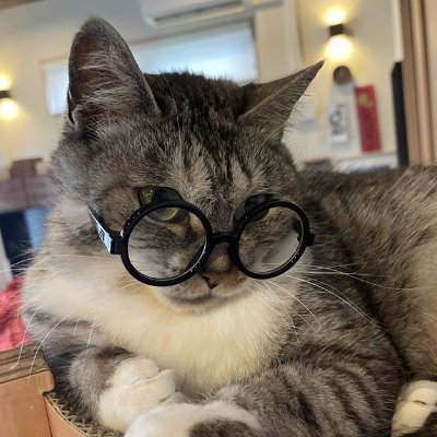 bakarwadii's profile picture. your fav marathi snack