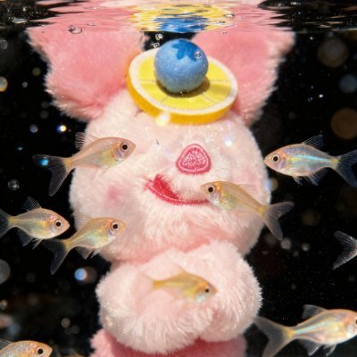 KyxmsHuang's profile picture. 旅で光を集め、運動でリズムを整えるのが好き。美食と香りは私のこだわり。世界の友達と出会いたくて、日本語を勉強しています。🌿