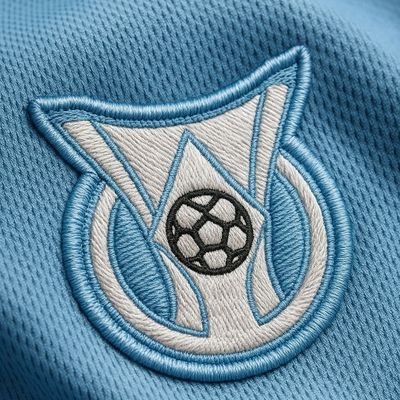 BrasileiraoInf's profile picture. Información de todo el Brasileirão, est. Noviembre 2025, Actual Campeón: BOTAFOGO 🇧🇷