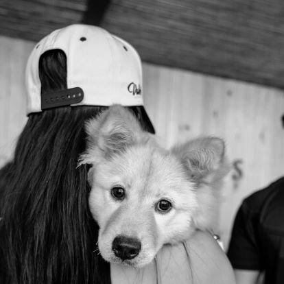 RiMVHER's profile picture. “Reality is ugly, but life is beautiful.” 🥀 | 🖤🩷 BLINK x BLOOM 🌸