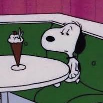 sarah08ttl's profile picture. argumentative, antithetical dream girl