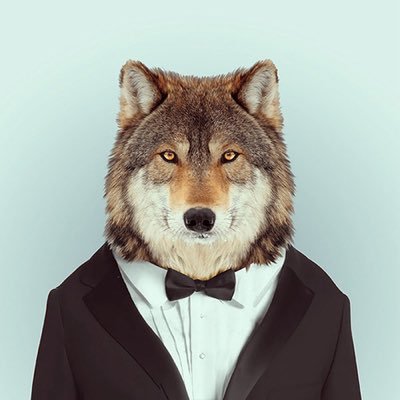 Alejo_Godoy's profile picture. Vita via est.