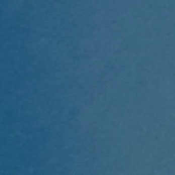 hogs4lifee's profile picture. 