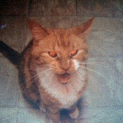 Mark_nolonger's profile picture. Self-employed enthusiast of all things Auto racing, Tattoos, VR gaming, Cosplay, and most Art/Music.  

-semi retired tattoo artist, dm for info-