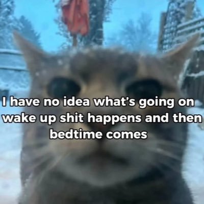 schwerny's profile picture. non-clerical full miracle extra salt || shifty-eyed coward