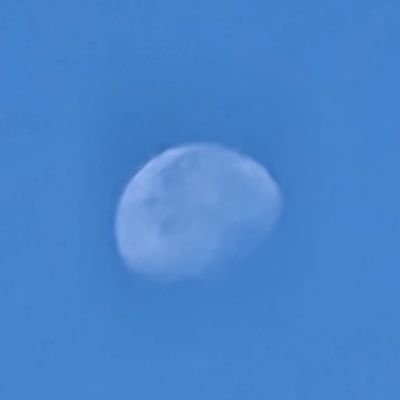 Madtalkies's profile picture. Investor. Critical Thinker. Permanent Student of Life.