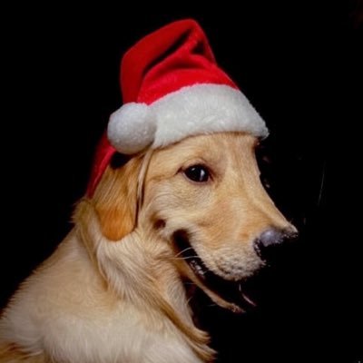 dangjoci's profile picture. 잔소리 계정