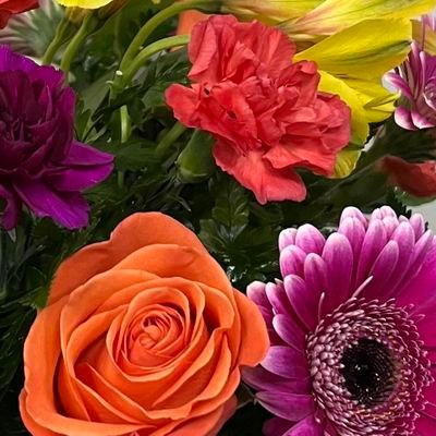 Puma4810's profile picture. #Resister♥️💙💜