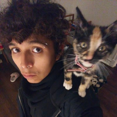 ambrieto's profile picture. 🇲🇽 ⚧️ she/he