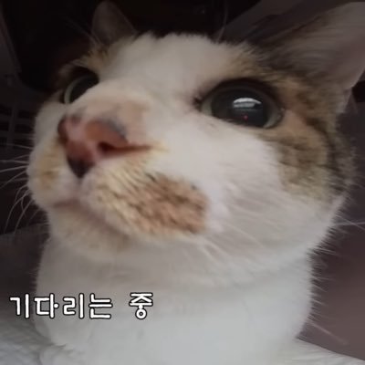 zeropinkfloyd's profile picture. 