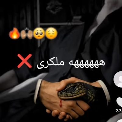 AQudart55687's profile picture. 