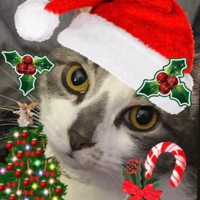 epicmimi42069's profile picture. Mimo. im 5 . I’m Famous