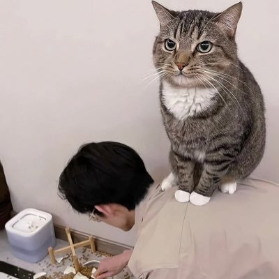 kaiooouuu's profile picture. 🇰🇷 heyo