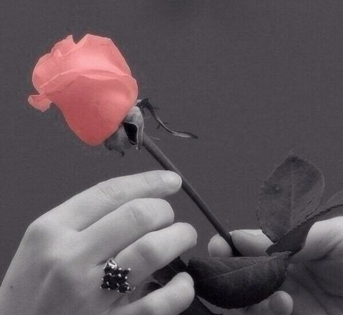 samt098's profile picture.  http://t.co/y0eVwTyJoS 