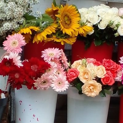 sukaymiecap's profile picture. Ready Jasa Formating Skripsweet