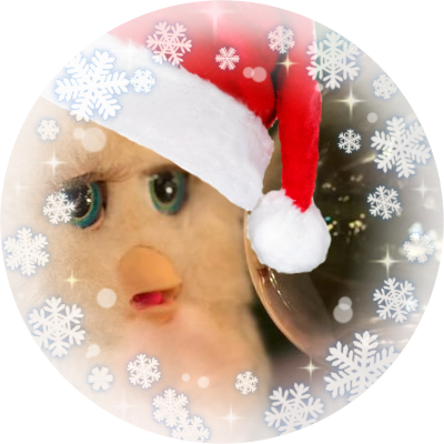 memeS2S2's profile picture. @: 산타 후드🎅 어디서 사냐고 다들 물어보시는데 산타 후드 아니고 목살입니다