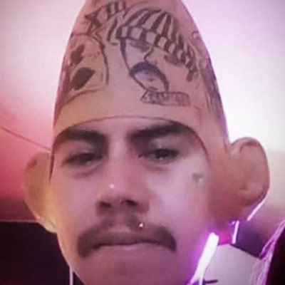 weare138foo's profile picture. Ain’t shit to see here. Just here for the memes. Take me to your dealer foo! 👽