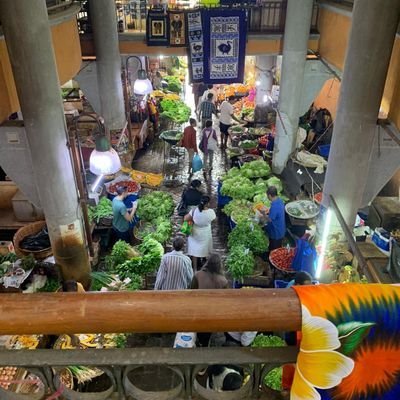 Christo51911892's profile picture. 