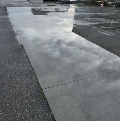 FIRE_THE_FOOL's profile picture. 