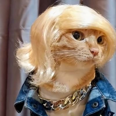 PSudcool34882's profile picture. Blsckpink #jenlisa rose jisoo
J​Land​ gen X  แอคนี้เป็นสาววายชอบเติมเกย์​สาว  🤭