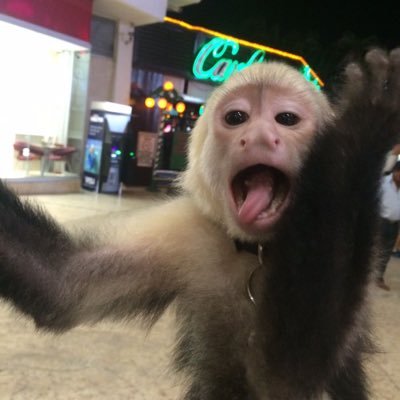 mcl7_gt's profile picture. 