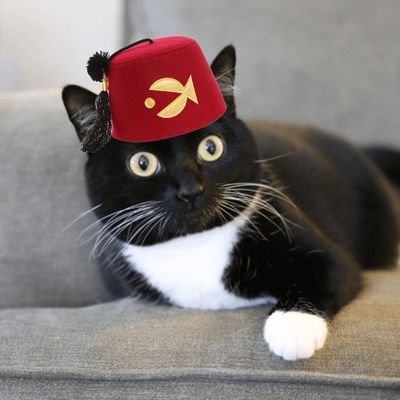 AlexSsss237038's profile picture. 