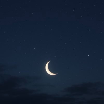 しろくま