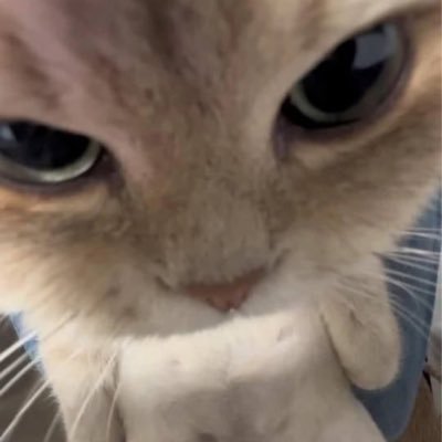 withmealon2607's profile picture. 