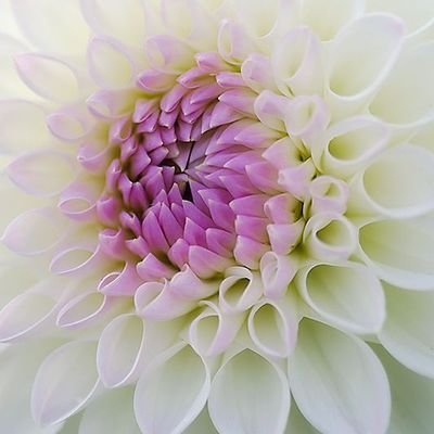 _fateh1's profile picture. Microbiology | University of Agriculture Faisalabad Pakistan