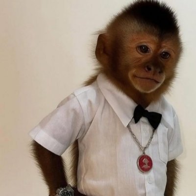 jmalR6S's profile picture. r6 | BTA | Gangos @LoggerFPS • @R6Slasher • @PengujnR6 • @Cay626 • @ParlaR6S