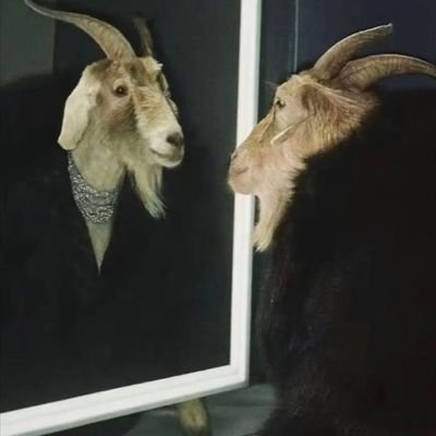 shehates_lloyd's profile picture. don't judge my story based on the chapter u came in