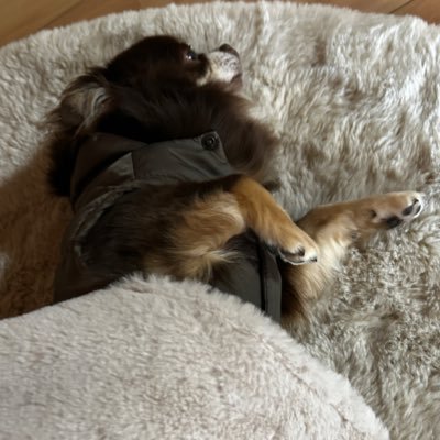 hrdr18r's profile picture. 20↑ ただのメモ 雑多