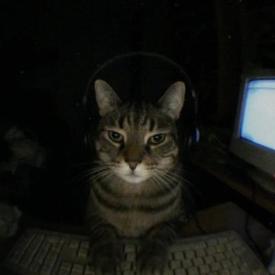 jaysendz's profile picture. building @sendtechsol