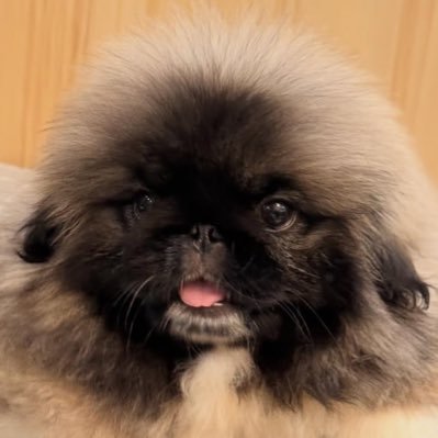 pppan_n's profile picture. There's absolutely no universe where I wouldn't support you (@ppkritt) 🤍